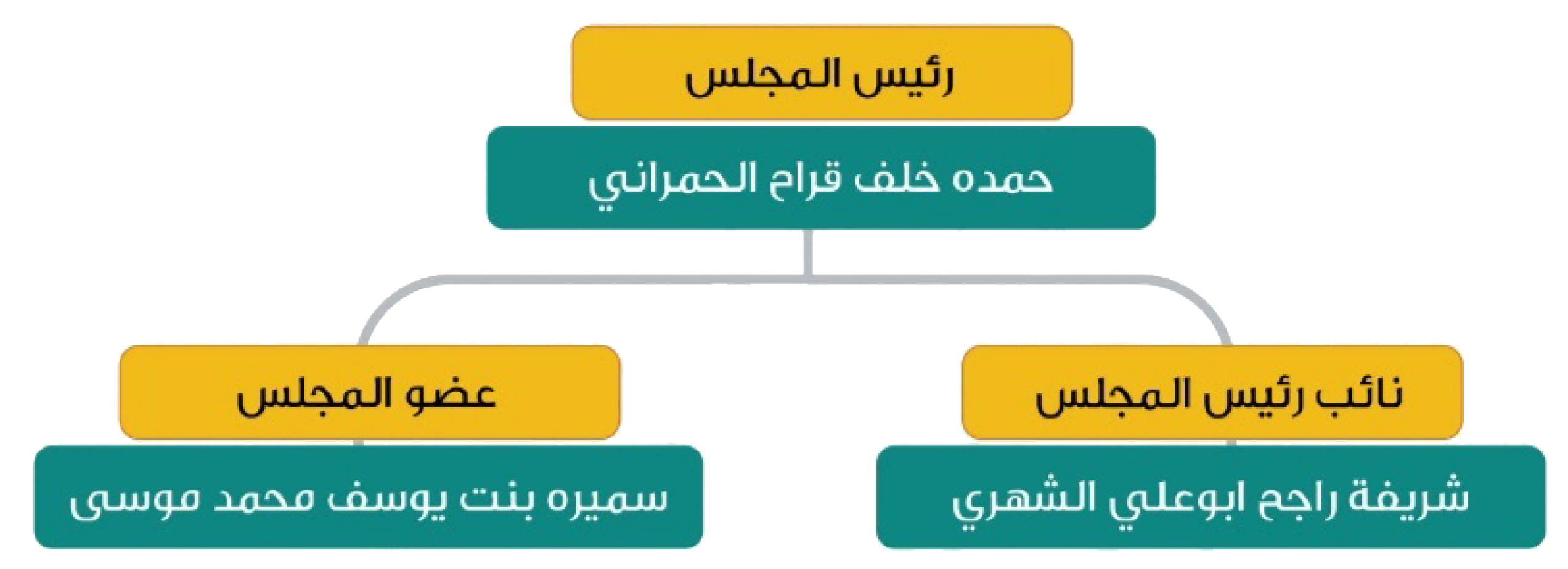 الهيكل التنظيمي